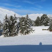 IMG 0827