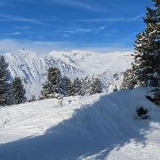 IMG 0848