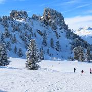 IMG 0849