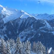 IMG 0889