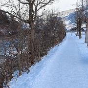 IMG 0923