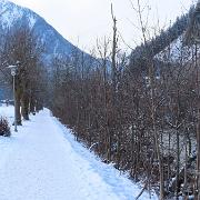 IMG 0924