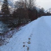 IMG 0925