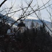 IMG 0927