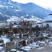 IMG 0942