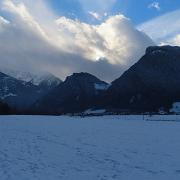 IMG 0955