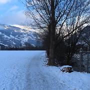 IMG 0956