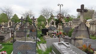 Nancy-083