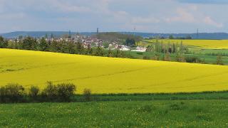 Nancy-144