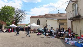 Nancy-161