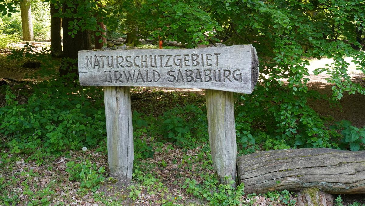 Sababurg-041