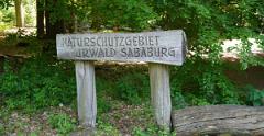 Sababurg-041