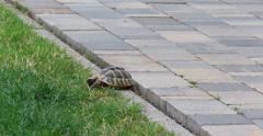 IMG 4359