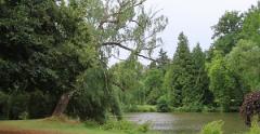 IMG 4386