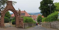 IMG 4439