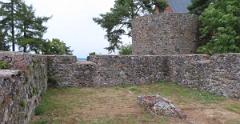IMG 4447