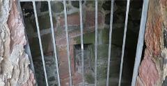 IMG 4448