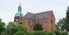 IMG 4453