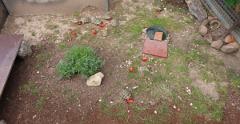 IMG 4459