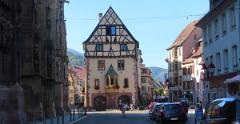 IMG 4880