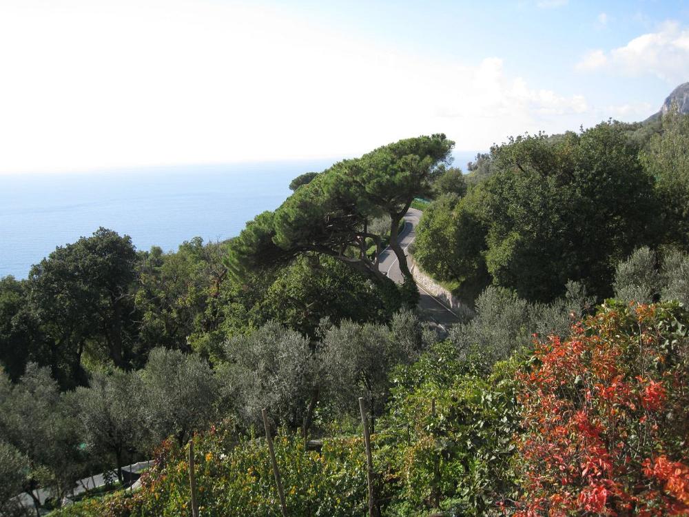 Italien (687)