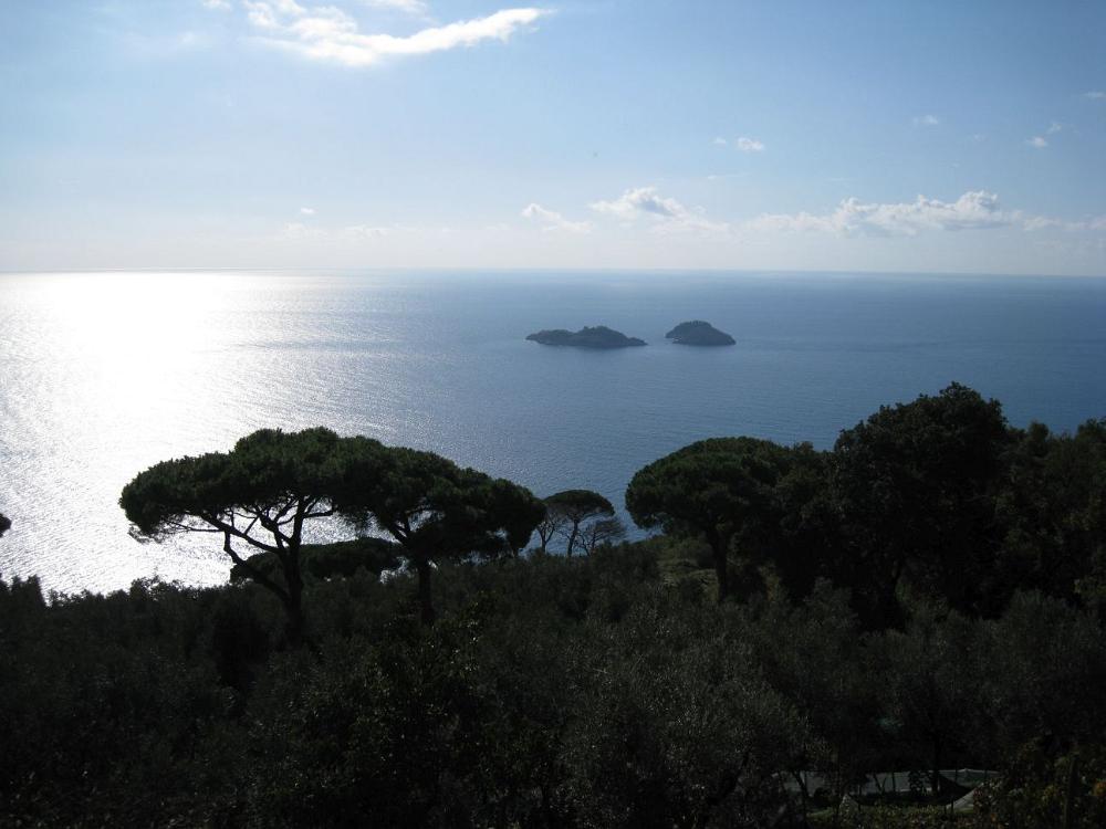 Italien (688)