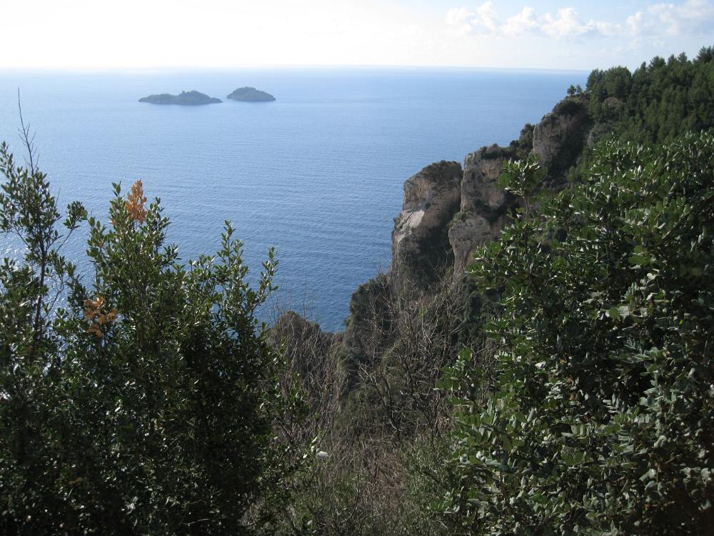 Italien (693)