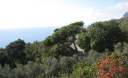 Italien (687)