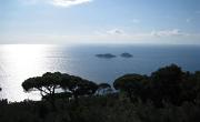 Italien (688)