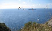 Italien (695)