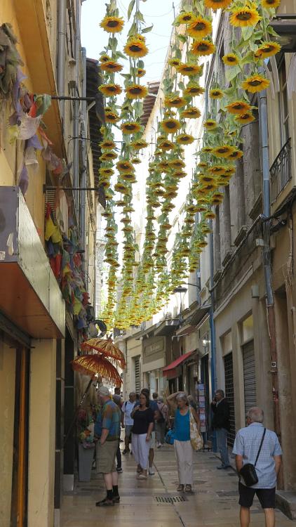 Blanes (196)