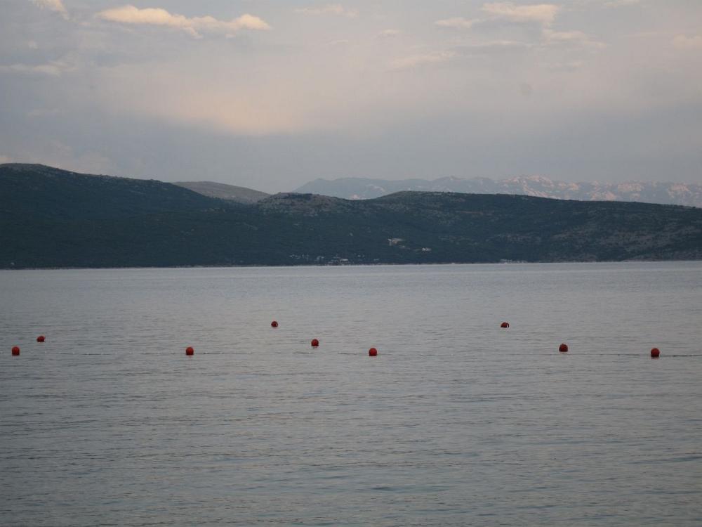 IMG 0593