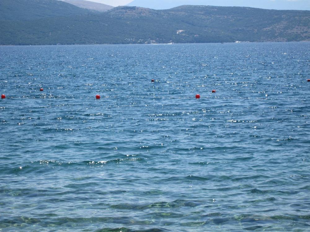 IMG 0689