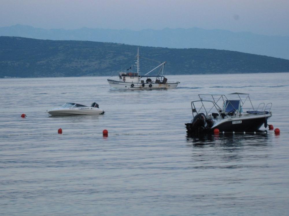 IMG 0820