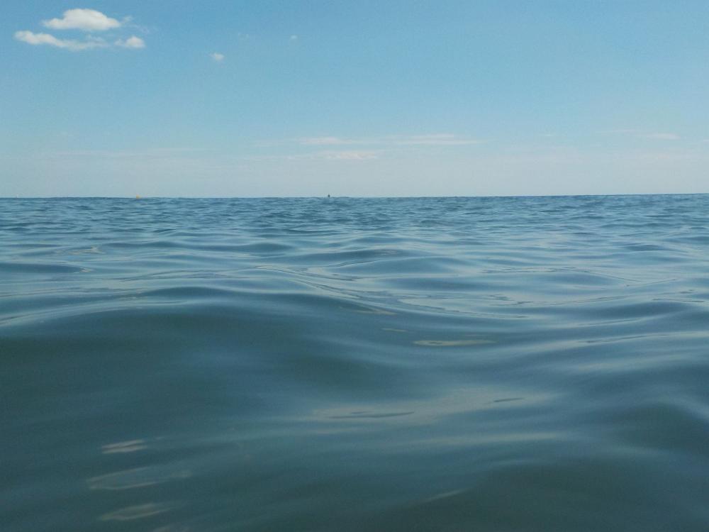 DSCN0036