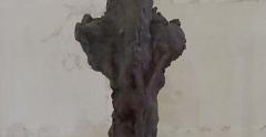 IMG 5501