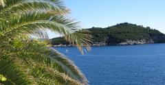 IMG 4261