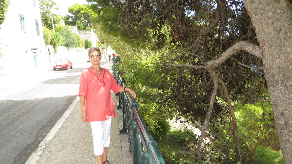 IMG 4086