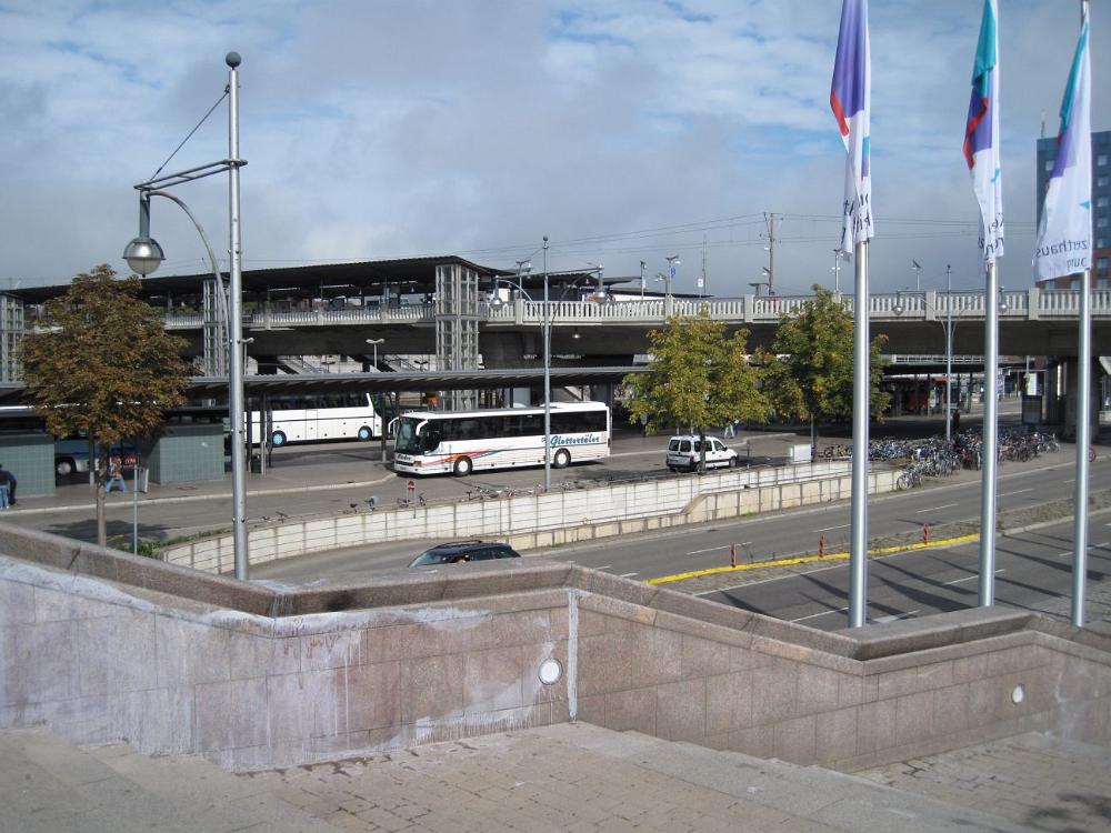 IMG 0729