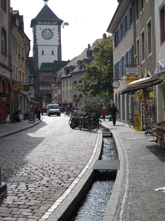 IMG 0771