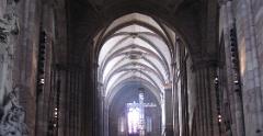 IMG 3582