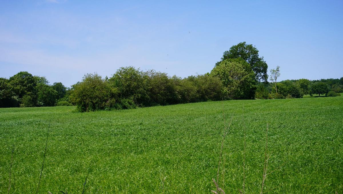 Schleswig-Holstein-265