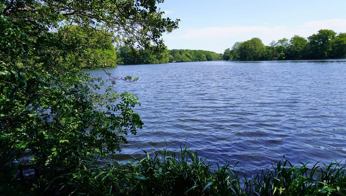 Schleswig-Holstein-284
