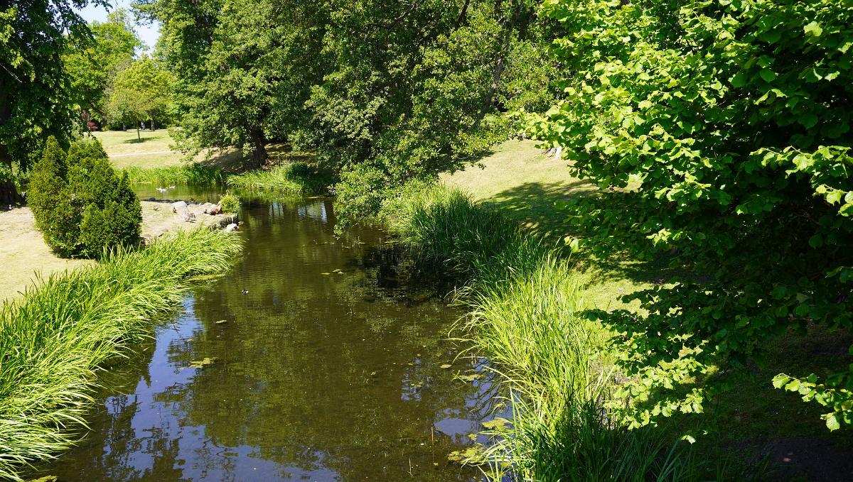 Schleswig-Holstein-288