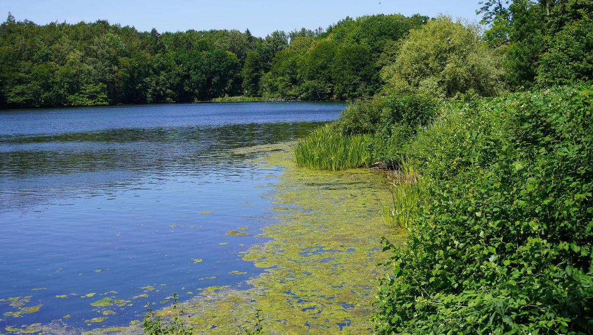 Schleswig-Holstein-289