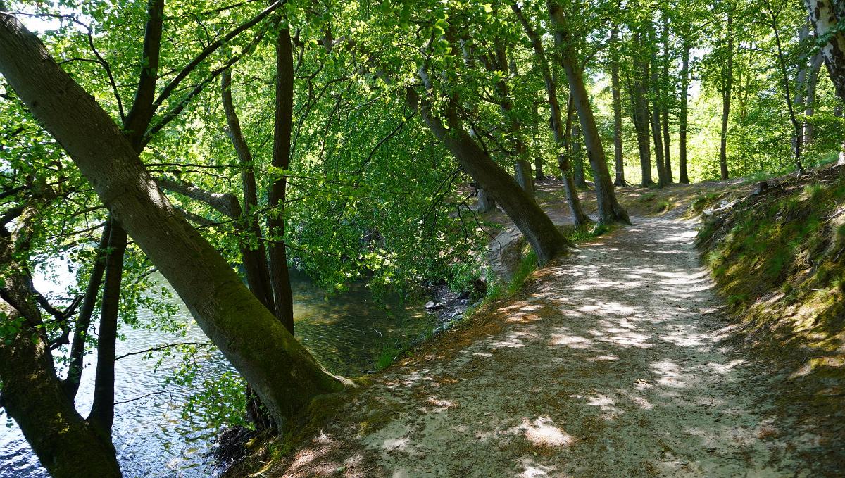 Schleswig-Holstein-292