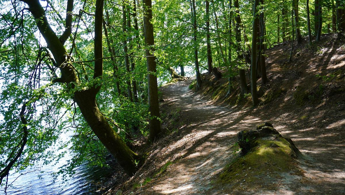 Schleswig-Holstein-293