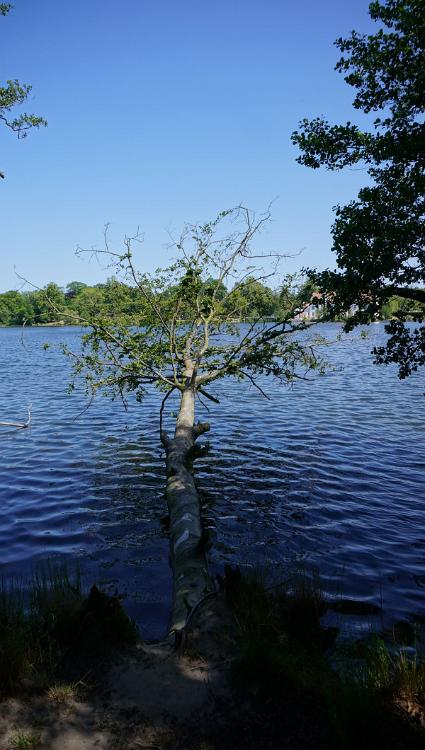 Schleswig-Holstein-299