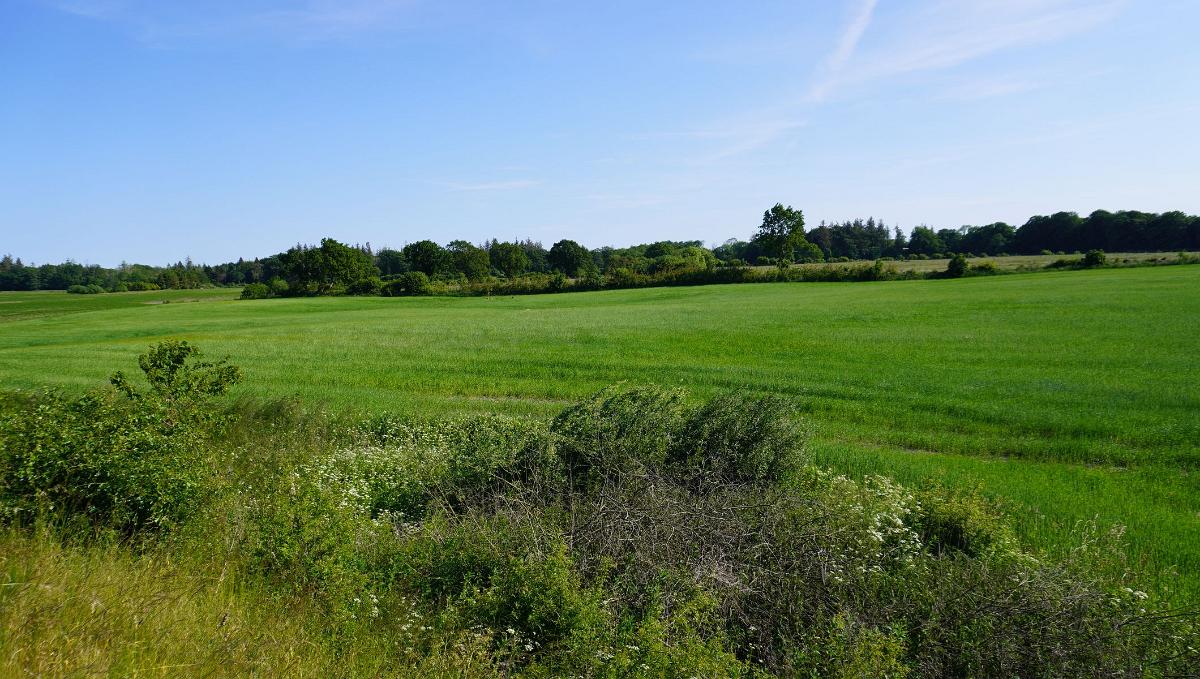 Schleswig-Holstein-318