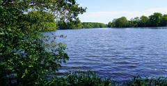 Schleswig-Holstein-284